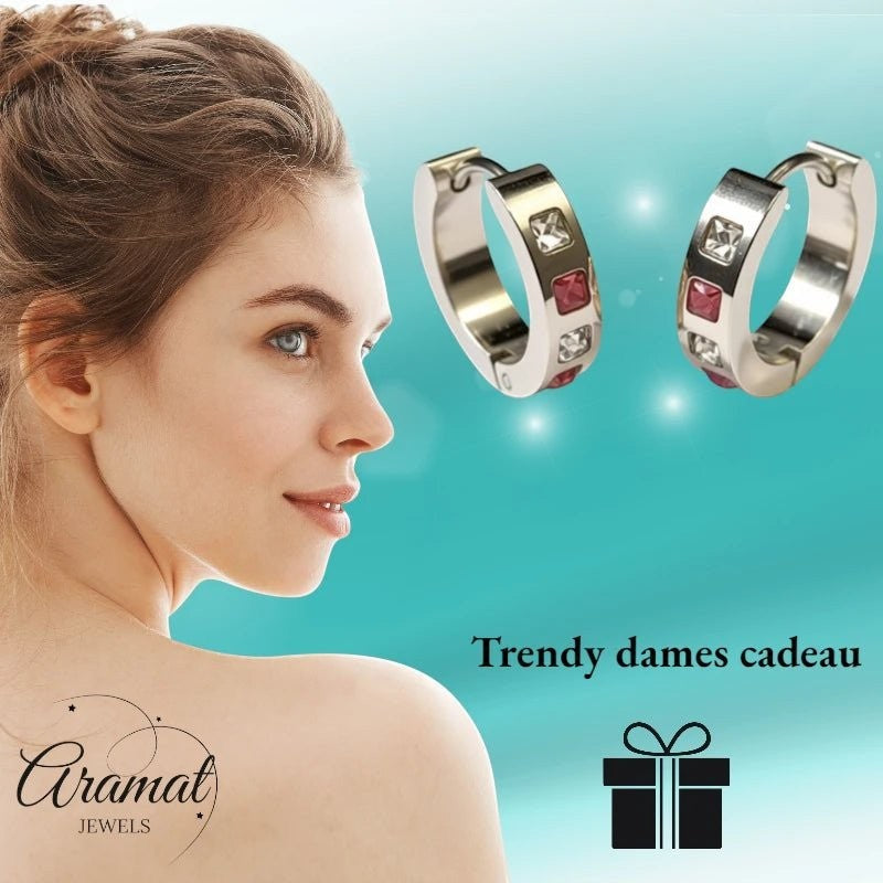 Oorringen – Staal Roze Transparante Zirkonia (17mm) - Aramat Jewels - Oorringen - cadeautip