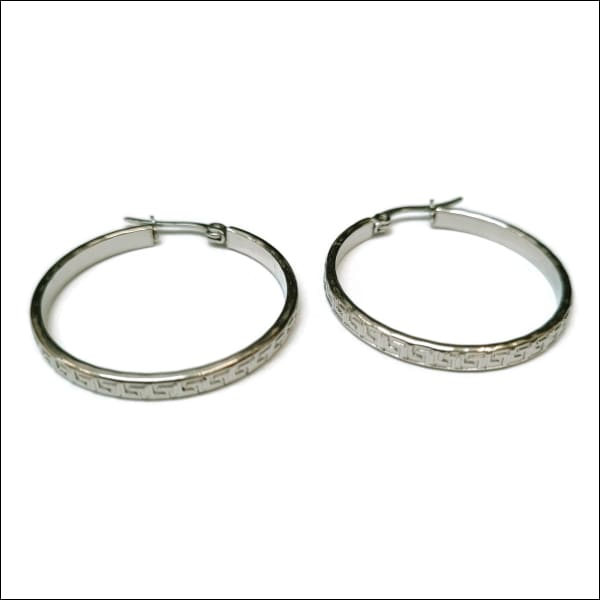 Stijlvolle Stalen Oorringen 30mm Gedraaid Grieks-30x3.5mm | Oorbellen