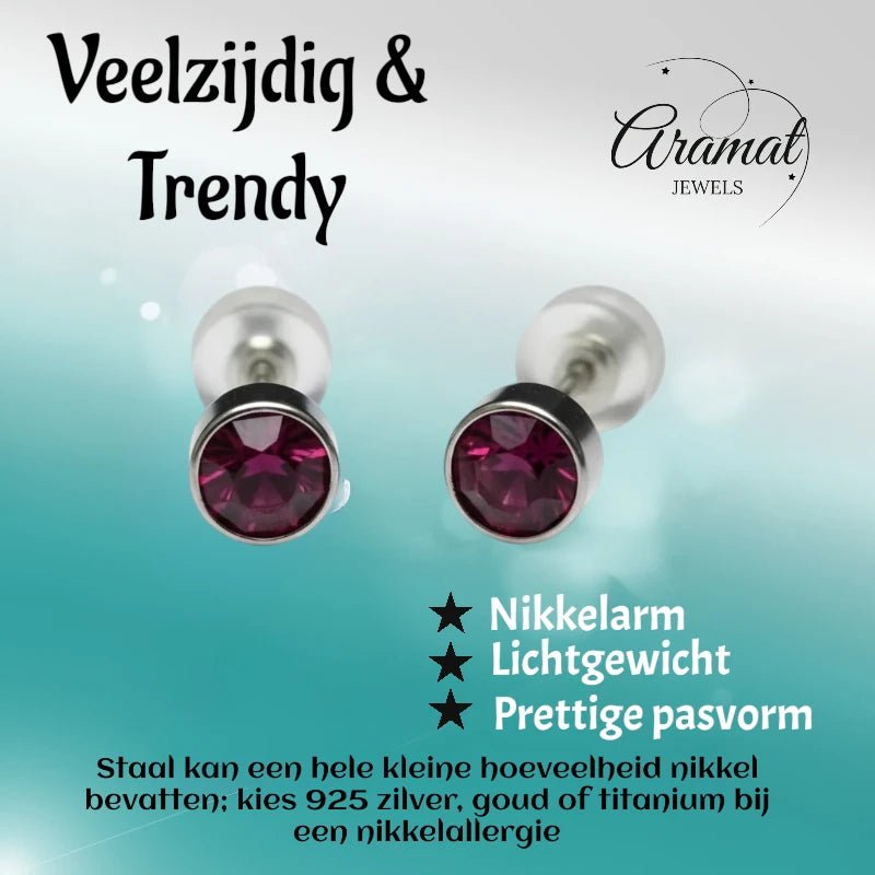 Oorstuds – Staal Kristal Paars Zilverkleur (5mm) - Aramat Jewels - Oorbellen - cadeautip
