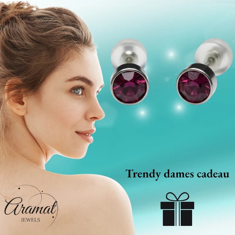 Oorstuds – Staal Kristal Paars Zilverkleur (5mm) - Aramat Jewels - Oorbellen - cadeautip