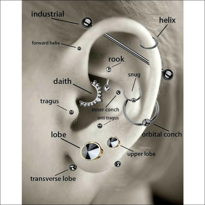 Diagram Van Het Oor Voor Helixpiercing Tragus Piercing Van Goudkleurig 316l Chirurgisch Staal.