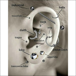 Anatomie Diagram Van Het Oor Voor Gouden Spiraal Helixpiercing Van Chirurgisch Staal.