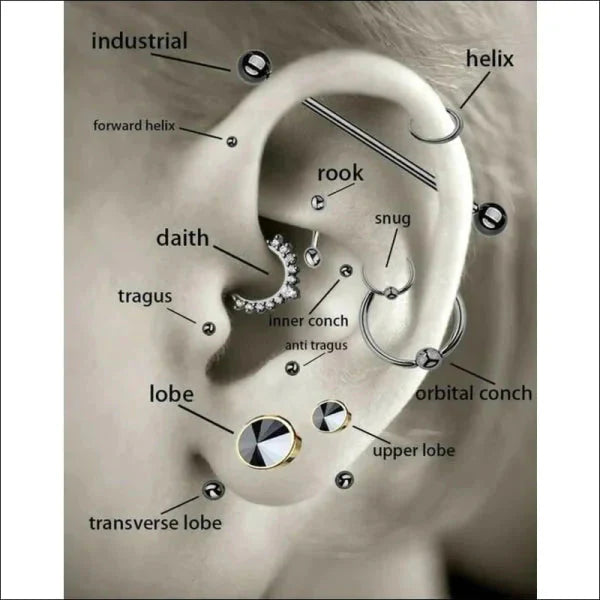 Diagram Van Het Oor Voor Rosékleurige Barbell Piercing.