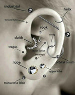 Diagram Van Het Oor Voor Prachtige Labretpiercing Met Vierkante Zirkonia