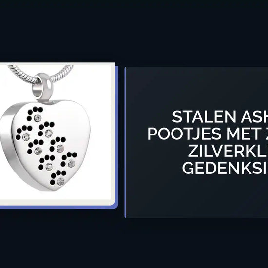 Stalen Ashanger Pootjes met Zirkonia &ndash; Zilverkleurig Gedenksieraad by@Outfy