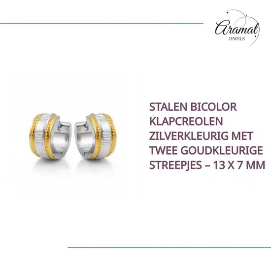 Stalen Bicolor Klapcreolen Zilverkleurig met Twee Goudkleurige Streepjes &ndash; 13 x 7 mm by@Outfy