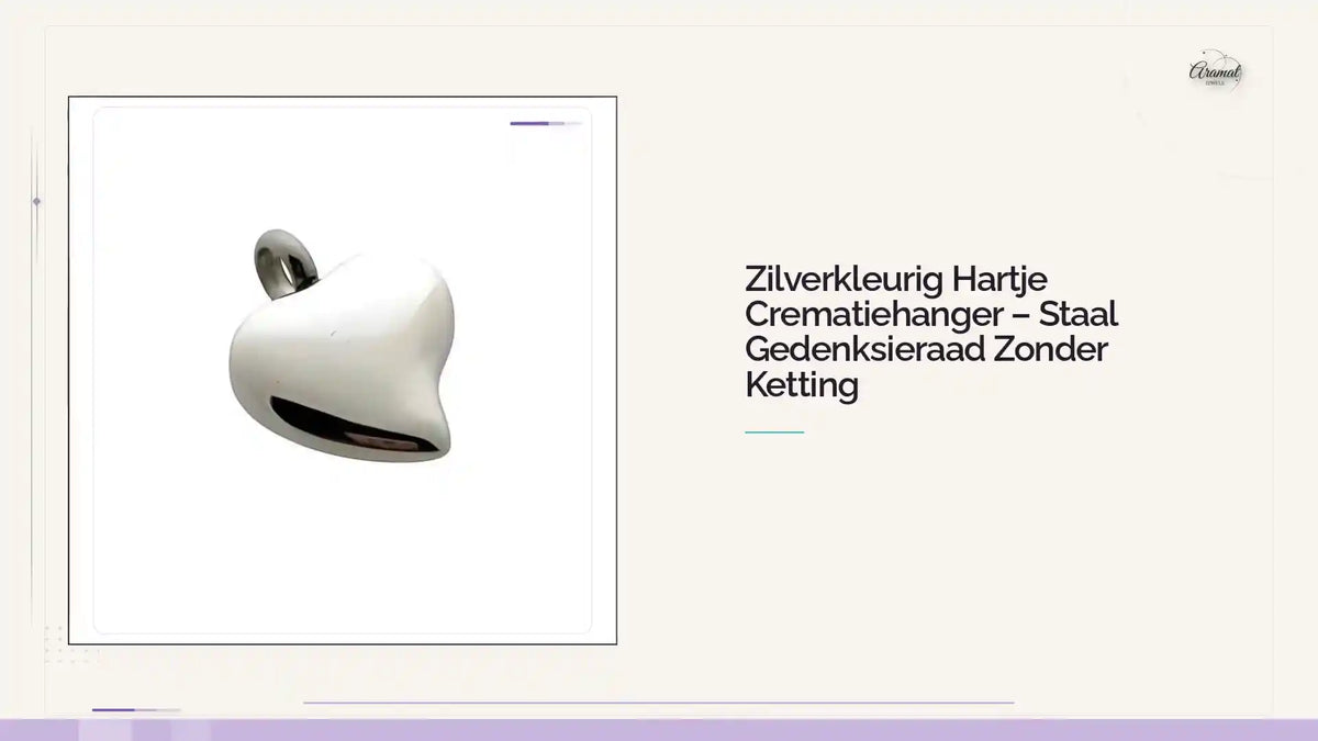 Zilverkleurig Hartje Crematiehanger &ndash; Staal Gedenksieraad Zonder Ketting by@Outfy