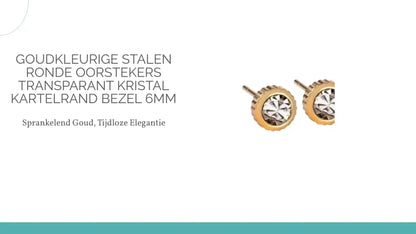 Goudkleurige Stalen Ronde Oorstekers Transparant Kristal Kartelrand Bezel 6mm by@Outfy