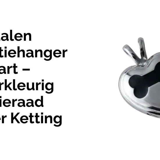 Stalen Crematiehanger Hart &ndash; Zilverkleurig Assieraad Zonder Ketting by@Outfy