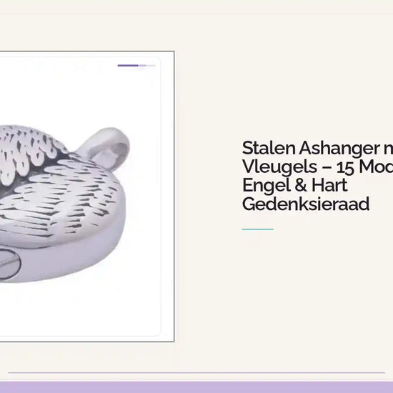 Stalen Ashanger met Vleugels &ndash; 15 Modellen Engel &amp; Hart Gedenksieraad by@Outfy