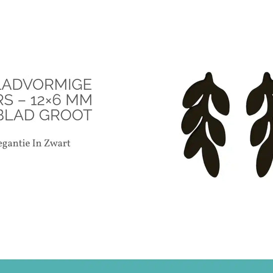 Zwarte bladvormige oorstekers &ndash; 12&times;6 mm RVS open blad groot by@Outfy