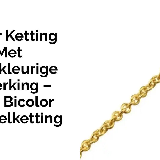 Anker Ketting met Goudkleurige Afwerking &ndash; Staal Bicolor Schakelketting by@Outfy
