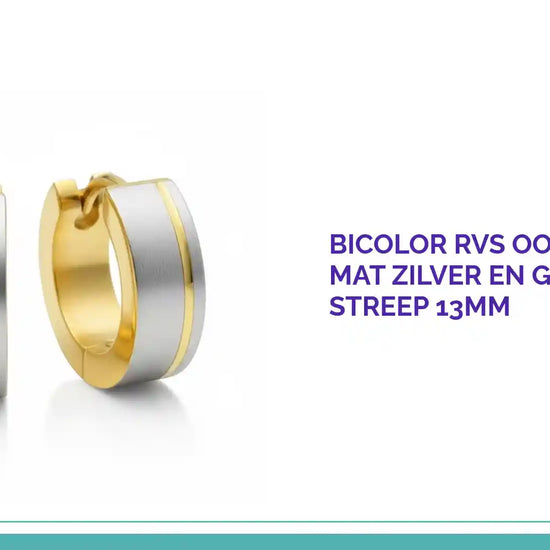 Bicolor RVS Oorringen met Mat Zilver en Goudkleurige Streep 13mm by@Outfy