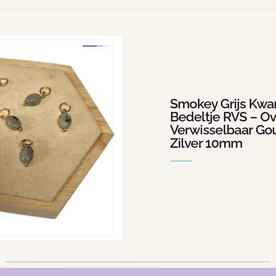 Smokey Grijs Kwarts Bedeltje RVS &ndash; Ovaal Glad Verwisselbaar Goud of Zilver 10mm by@Outfy