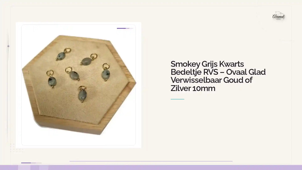Smokey Grijs Kwarts Bedeltje RVS &ndash; Ovaal Glad Verwisselbaar Goud of Zilver 10mm by@Outfy
