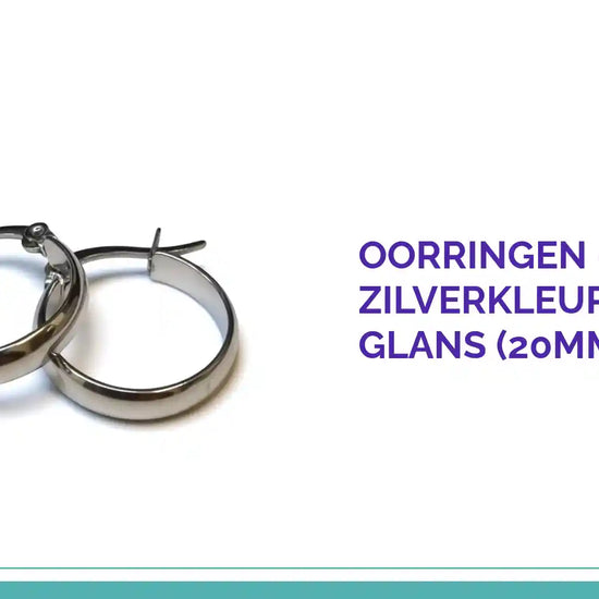 Oorringen &ndash; RVS Zilverkleur Glad Glans (20mm) by@Outfy