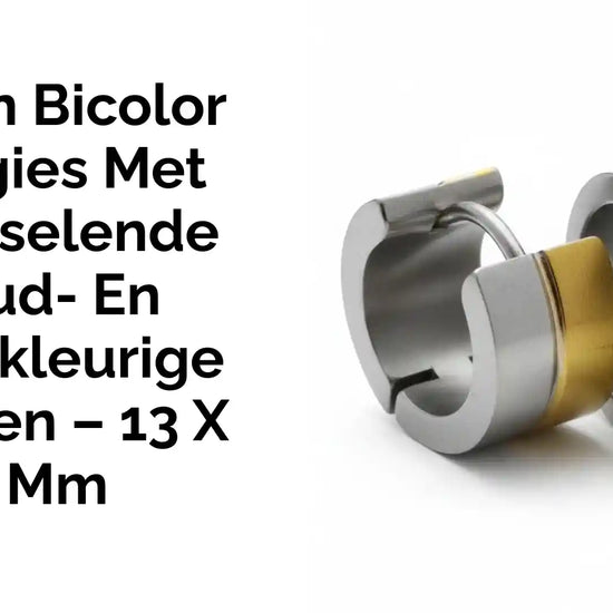 Stalen Bicolor Huggies met Afwisselende Goud- en Zilverkleurige Strepen &ndash; 13 x 7 mm by@Outfy