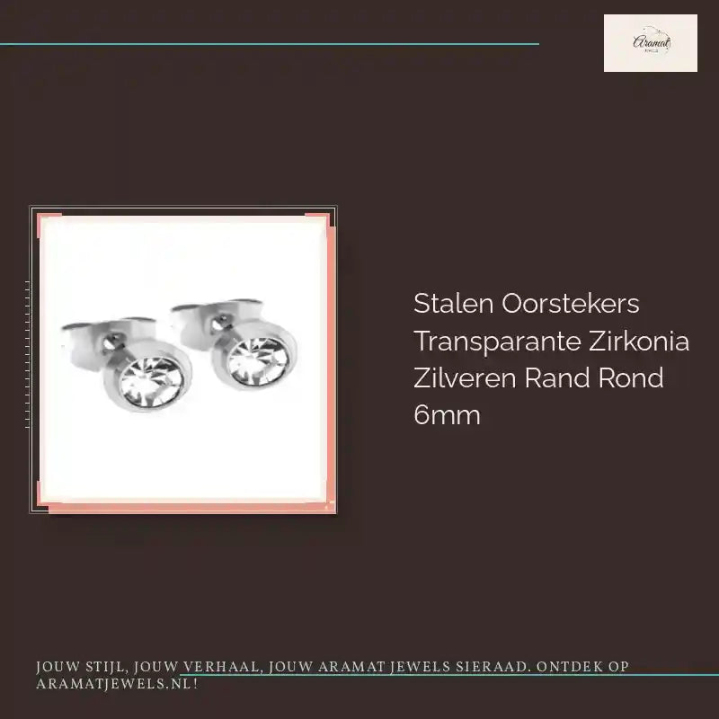 Stalen Oorstekers Transparante Zirkonia Zilveren Rand Rond 6mm by@Outfy