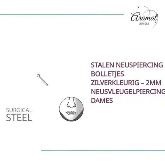 Stalen Neuspiercing Bolletjes Zilverkleurig &ndash; 2mm Neusvleugelpiercing Dames by@Outfy