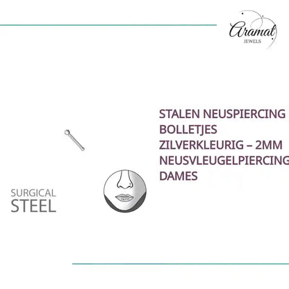 Stalen Neuspiercing Bolletjes Zilverkleurig &ndash; 2mm Neusvleugelpiercing Dames by@Outfy