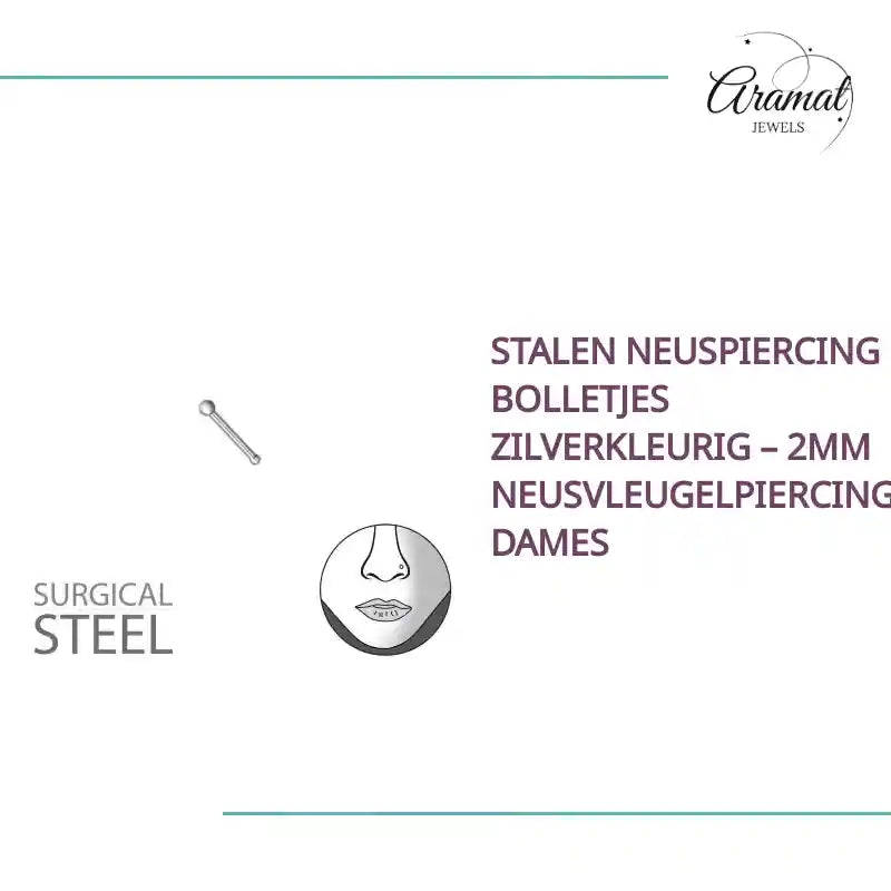 Stalen Neuspiercing Bolletjes Zilverkleurig &ndash; 2mm Neusvleugelpiercing Dames by@Outfy