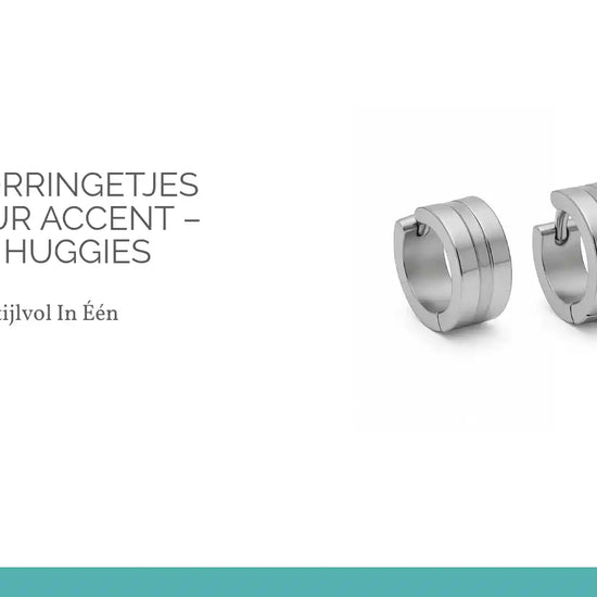 Stalen Oorringetjes Zilverkleur Accent &ndash; 13x7mm Huggies by@Outfy