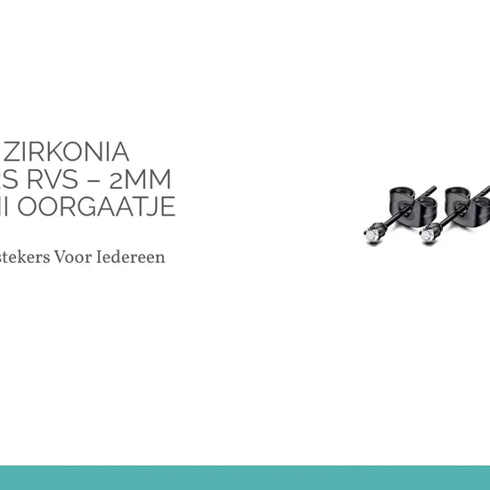 Zwarte Zirkonia Oorstekers RVS &ndash; 2mm of 3mm Mini Oorgaatje by@Outfy