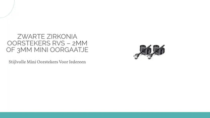 Zwarte Zirkonia Oorstekers RVS &ndash; 2mm of 3mm Mini Oorgaatje by@Outfy