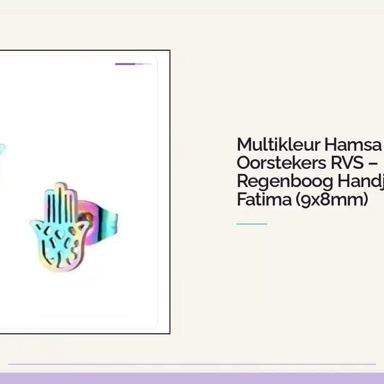 Multikleur Hamsa Oorstekers RVS &ndash; Regenboog Handje van Fatima (9x8mm) by@Outfy