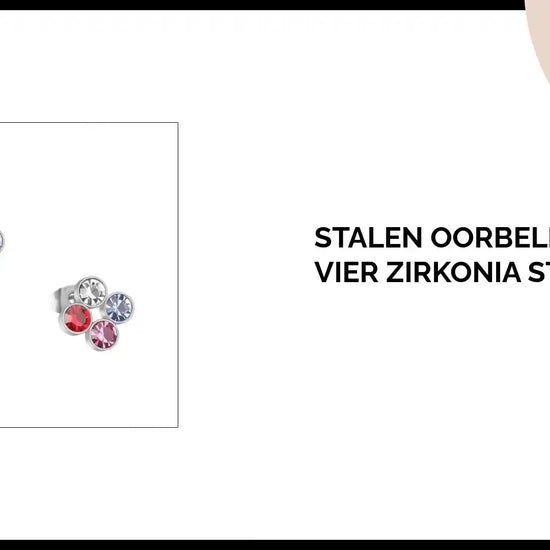 Stalen Oorbellen met Vier Zirkonia Steentjes by@Outfy
