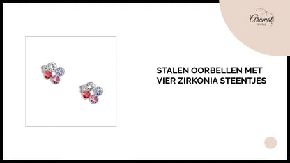 Stalen Oorbellen met Vier Zirkonia Steentjes by@Outfy