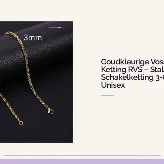 Goudkleurige Vossenstaart Ketting RVS &ndash; Stalen Schakelketting 3-8mm Unisex by@Outfy