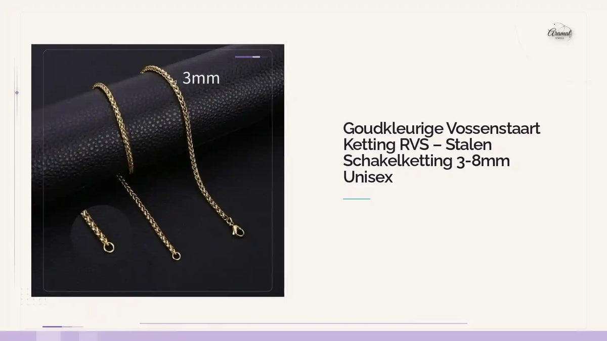 Goudkleurige Vossenstaart Ketting RVS &ndash; Stalen Schakelketting 3-8mm Unisex by@Outfy