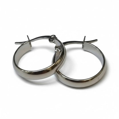 Steel Smooth Earrings