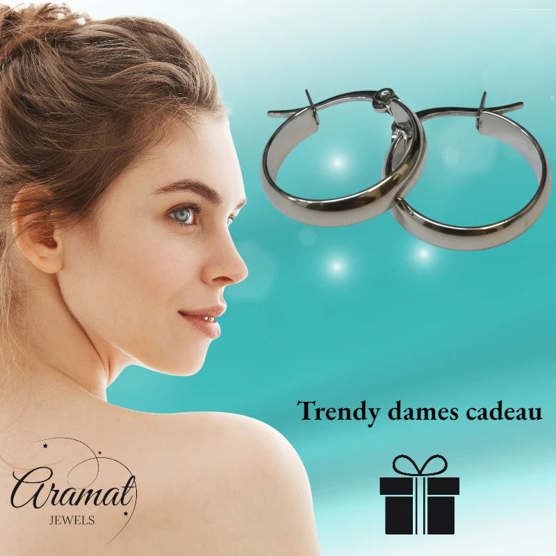 Steel Smooth Earrings