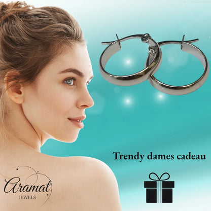 Steel Smooth Earrings