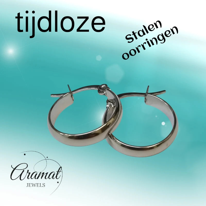 Steel Smooth Earrings