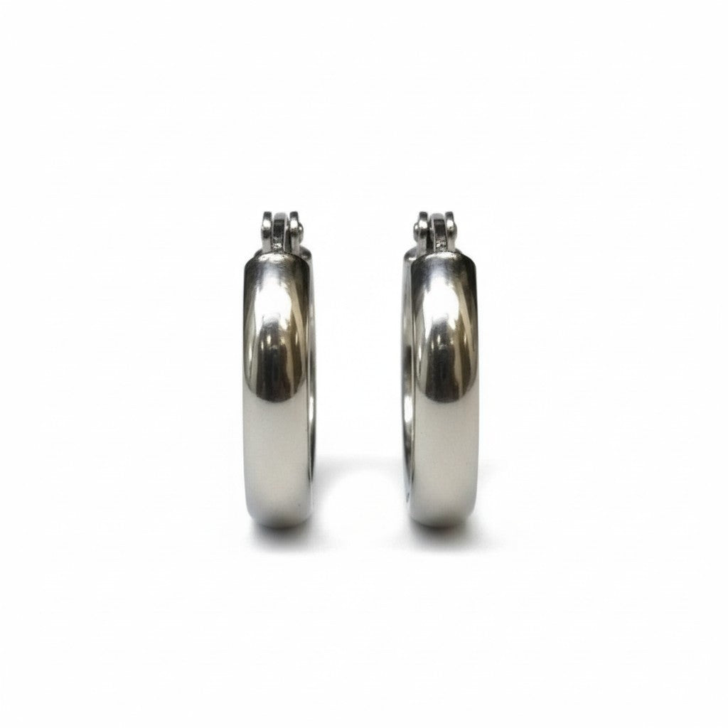 Steel Smooth Earrings