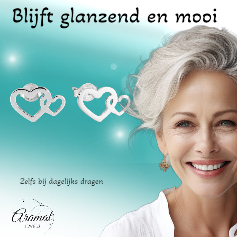 Staal Dubbel Hart Oorstekers Zilver 12x8mm RVS