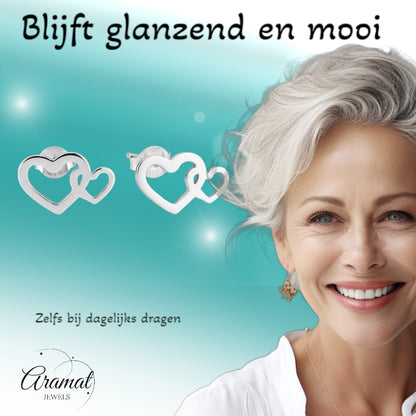 Staal Dubbel Hart Oorstekers Zilver 12x8mm RVS