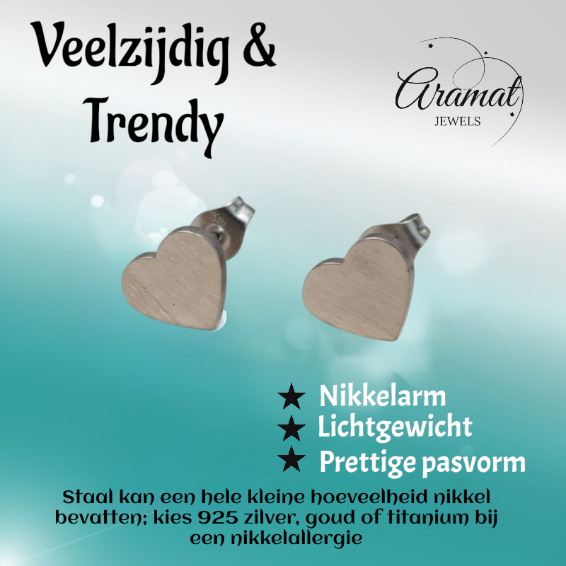 RVS Hartjes Oorstekers Zilverkleur 9mm Gesloten