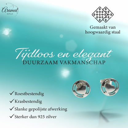 Stalen Hartjes Oorbellen Zilverkleur 9mm Staal