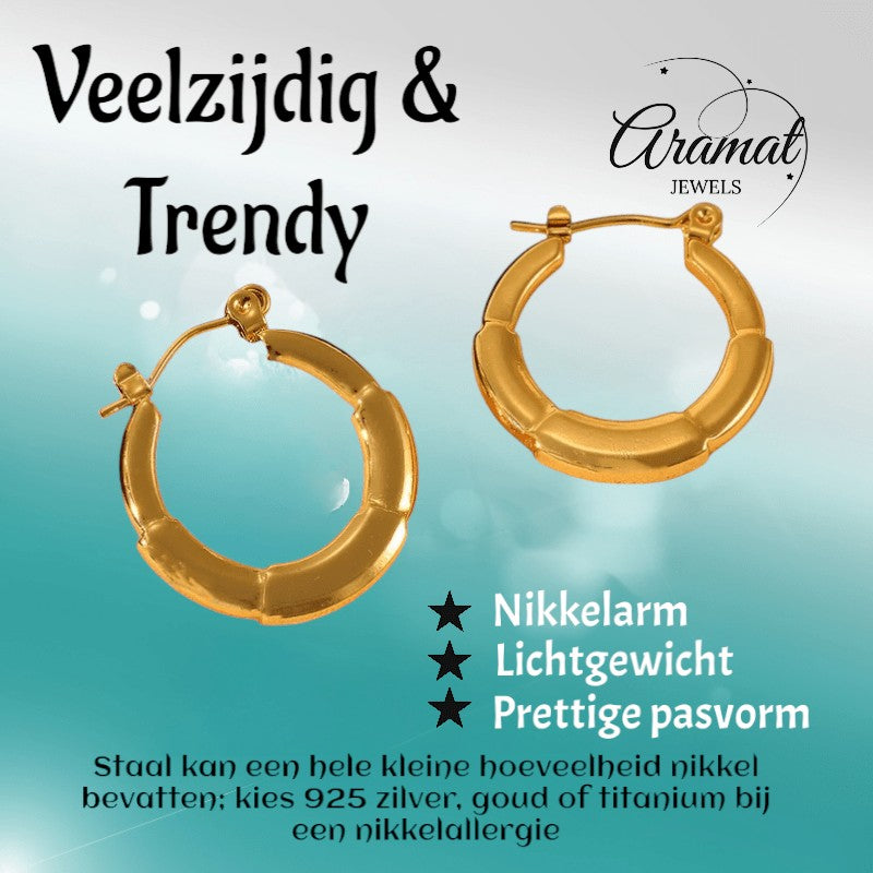 Ronde Oorringen 24x23mm – Goudkleurig RVS – Kleine Hoops - oor6349 - 840144 - Oorringen kopen# - 24mm - alles - cadeau