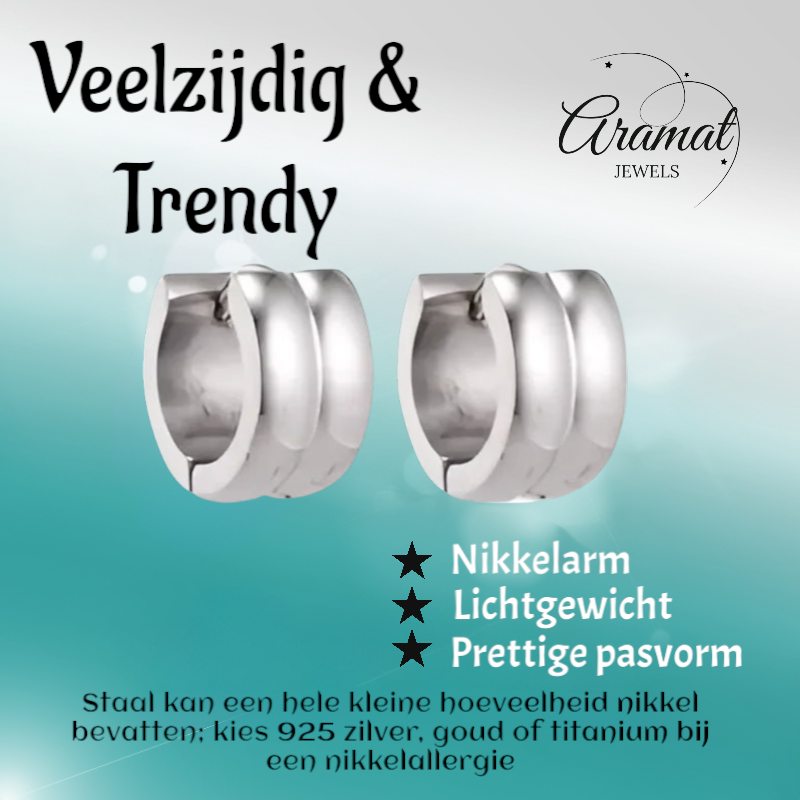 Zilverkleurige RVS Klapcreolen - 13 mm
