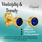 RVS Oorbellen met Donkerblauwe Zirkonia - 5mm - oor2065 - XE58221 - Oorbellen kopen# - 5mm - alles - blauw