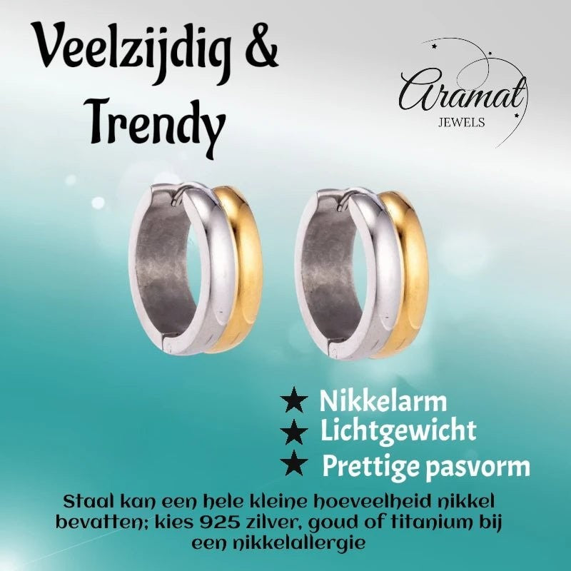 RVS oorringen - Bicolor Staal - Glanzend - Aramat Jewels - Oorringen - cadeautip