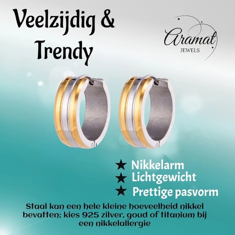 RVS Oorringen Bicolor Streep Goud Zilver 20mm - Dames - Aramat Jewels - Oorringen - cadeautip