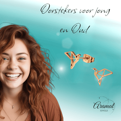 RVS Origami Vogel Oorbellen Roségoud 9mm - Gevouwen Vogeltjes - Aramat Jewels - Oorbellen - cadeautip