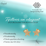 Ster oorstekers goudkleur – sandblasted – 8mm
