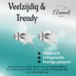 Ster oorstekers zilverkleur RVS – 6mm tijdloos